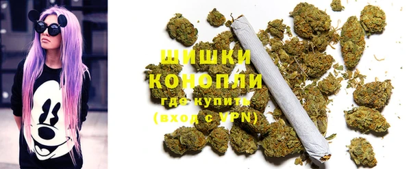 тгк Арсеньев