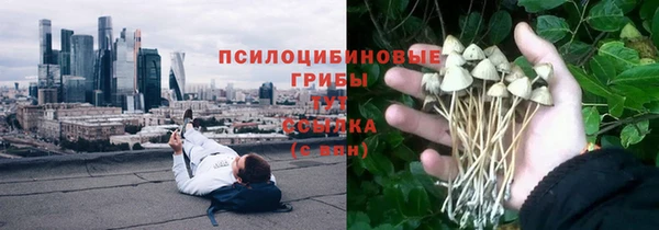 прущий лед Аркадак