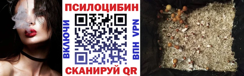 blacksprut ТОР  Серов  Псилоцибиновые грибы MAGIC MUSHROOMS  хочу  